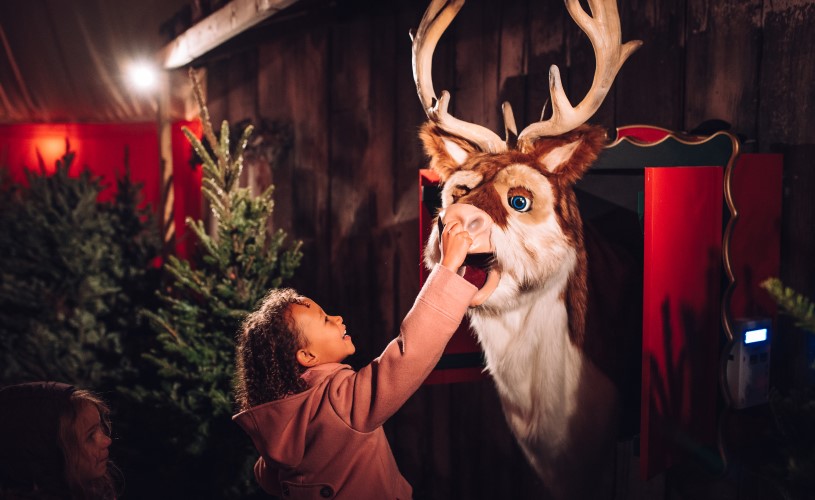 Avon Valley Christmas Reindeer